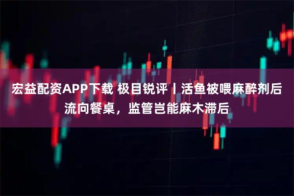 宏益配资APP下载 极目锐评丨活鱼被喂麻醉剂后流向餐桌，监管岂能麻木滞后