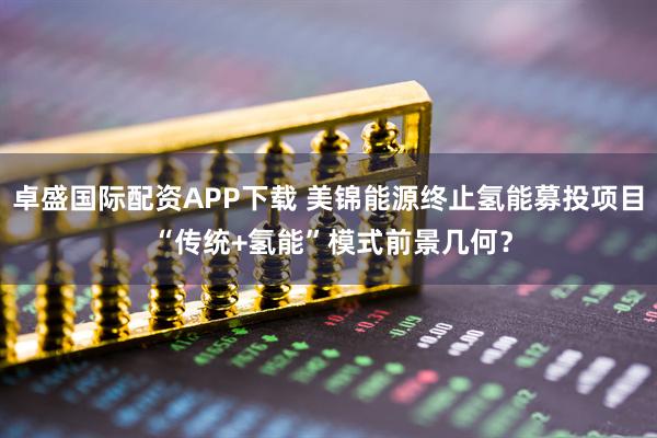 卓盛国际配资APP下载 美锦能源终止氢能募投项目 “传统+氢能”模式前景几何？