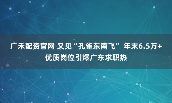 广禾配资官网 又见“孔雀东南飞” 年末6.5万+优质岗位引爆广东求职热